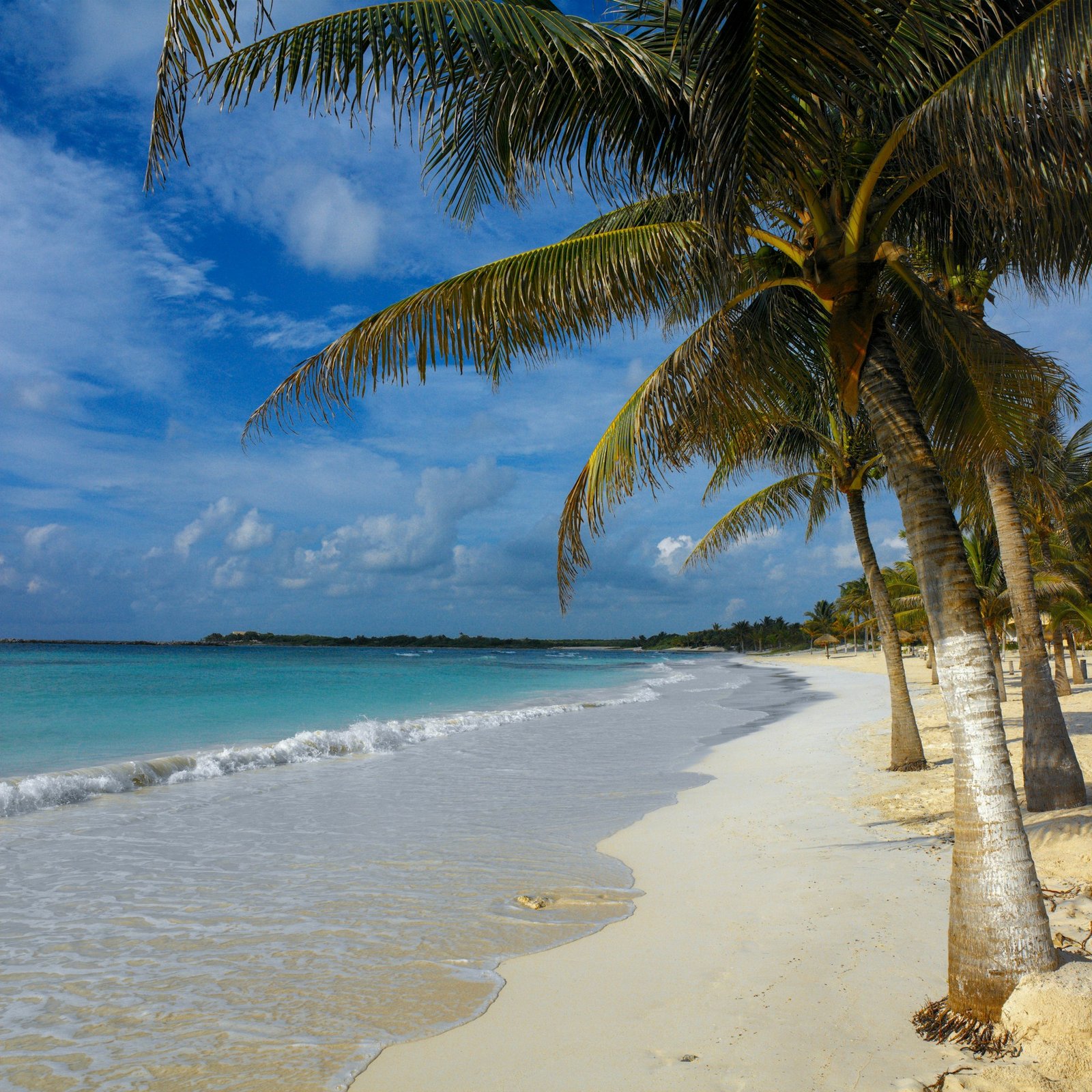 Playa del Carmen - Mexico